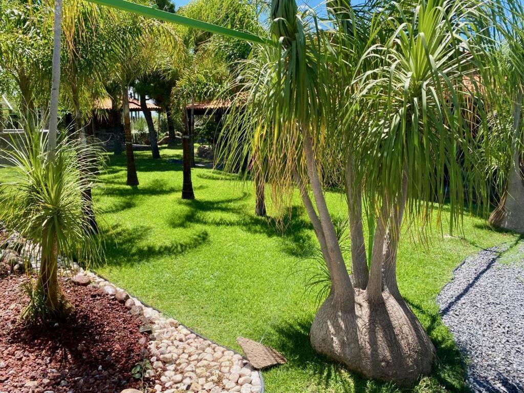 Cabana Magnolias Con Albercajacuzzi Tequisquiapan Exterior photo